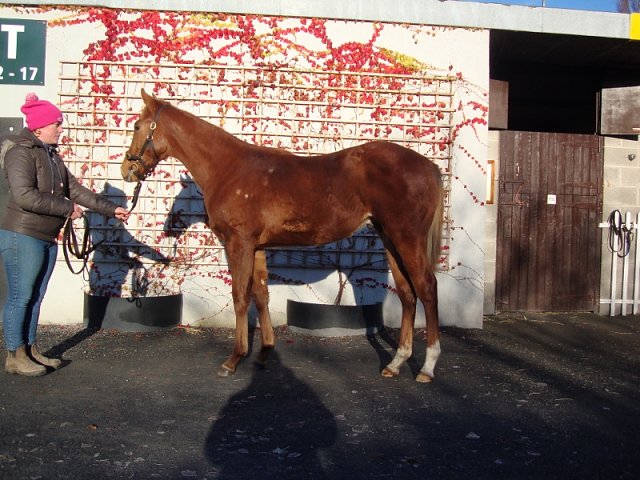 Reigning Profit third at Wolverhampton on 27th March 2025