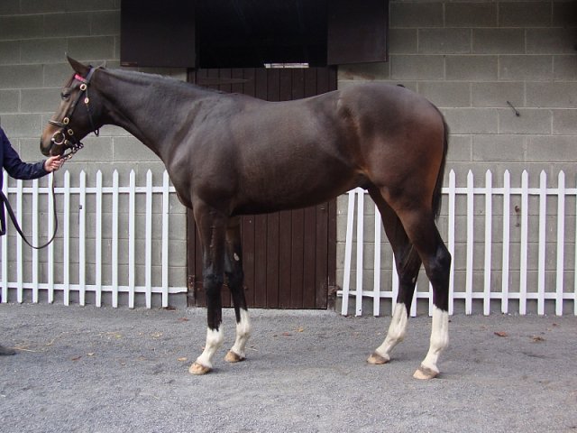 Revolver second at Newmarket on 1st May 2022