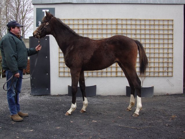 Revolver second at Newmarket on 1st May 2022