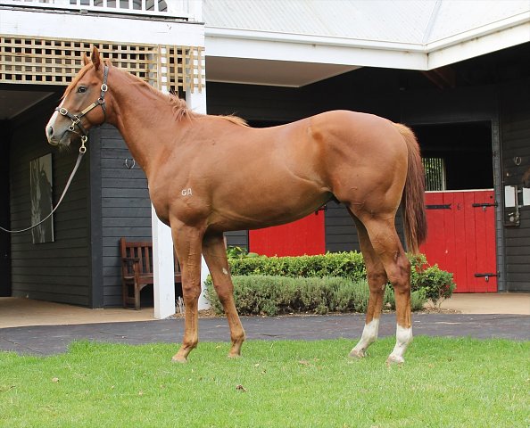 Reynaire wins at Ballarat on 29th June 2021