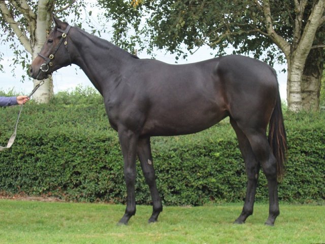 Rose Barton second at Salisbury on 12th June 2022