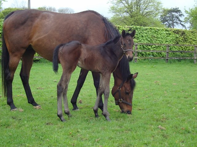 Rose Barton second at Salisbury on 12th June 2022