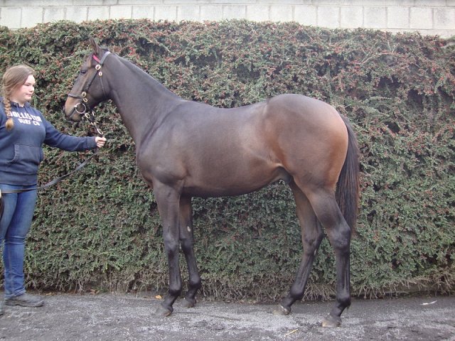 Seafarer wins at Chepstow