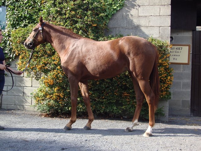 Sea of Women third at Montlucon-Neris