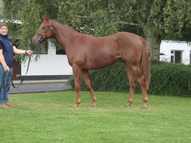 Sea Singer wins at Leopardstown on 22nd June 2023