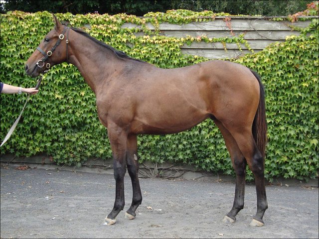 Secret Brief wins Tattersalls Millions 2-y-o Trophy