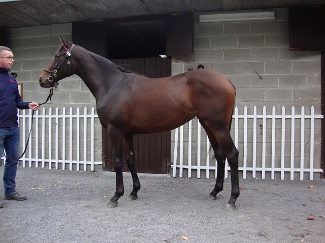 Seelie third on racecourse debut at Dieppe on 16th June 2020