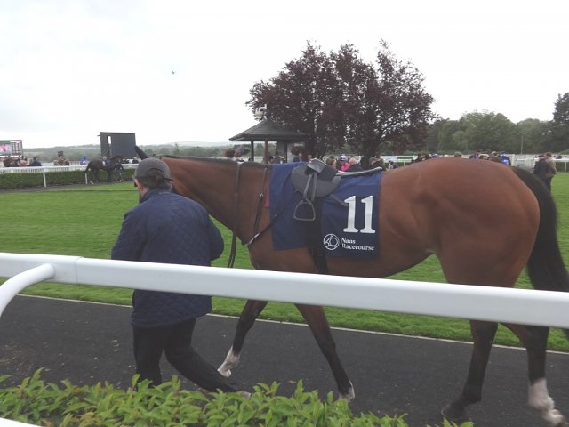 Shandy wins Group 3 at Naas on 25th August 2024