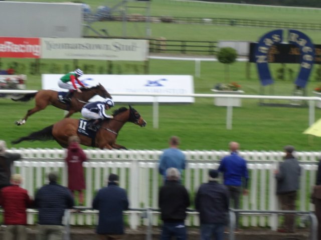 Shandy wins Group 3 at Naas on 25th August 2024