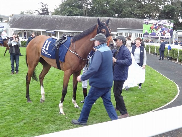 Shandy wins Group 3 at Naas on 25th August 2024