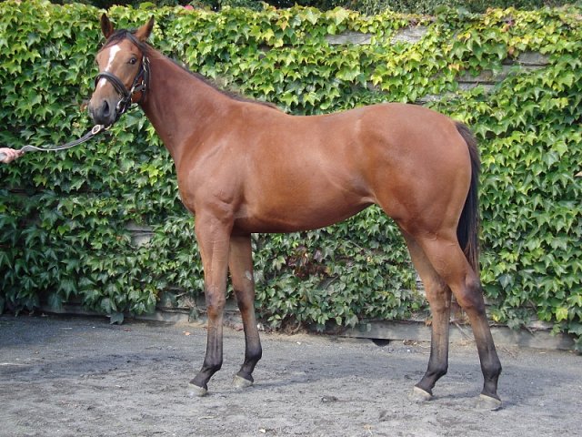 Silver Link second at Pontefract