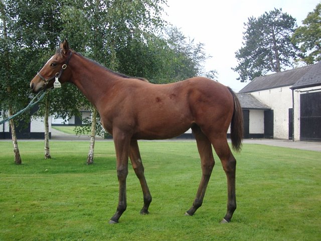 Silver Link second at Pontefract