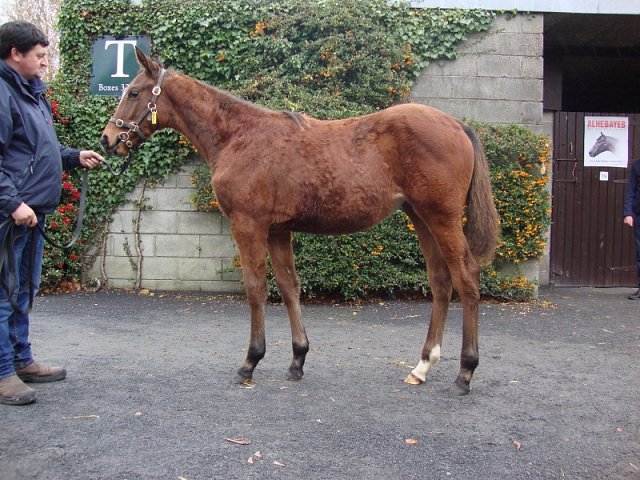Sinndarella third at Bath on 19th August 2020