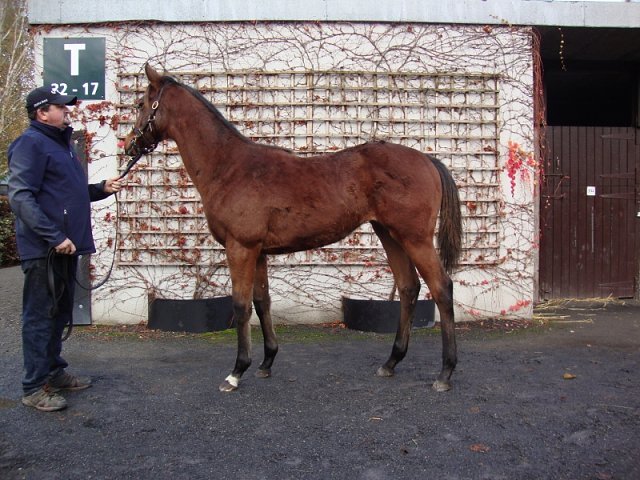 Siobhanbrogan second at Wolverhampton on 1st February 2025