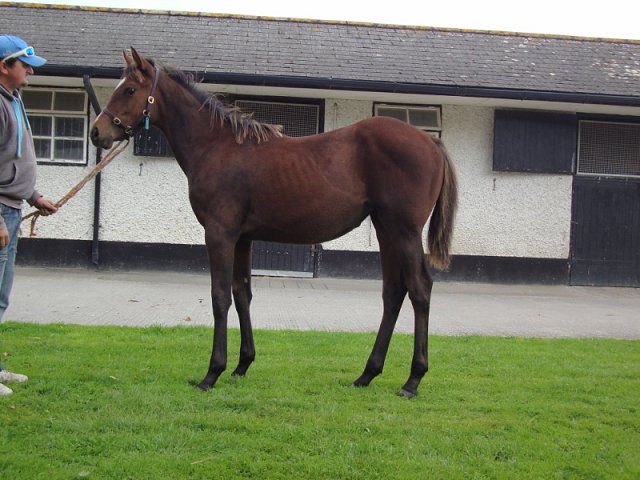 Siofra second at Newcastle on 2nd September 2022