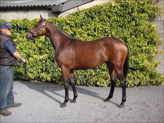 Sister Of Mercy third at Ascot