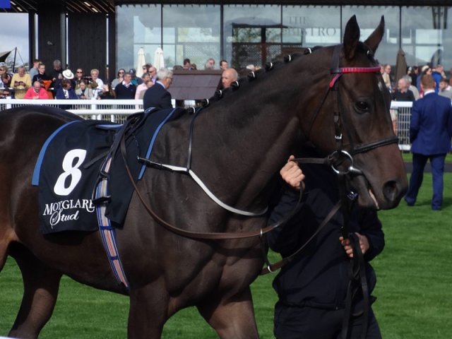Skitter Scatter wins Group 1 Moyglare Stud Stakes on 16th September 2018