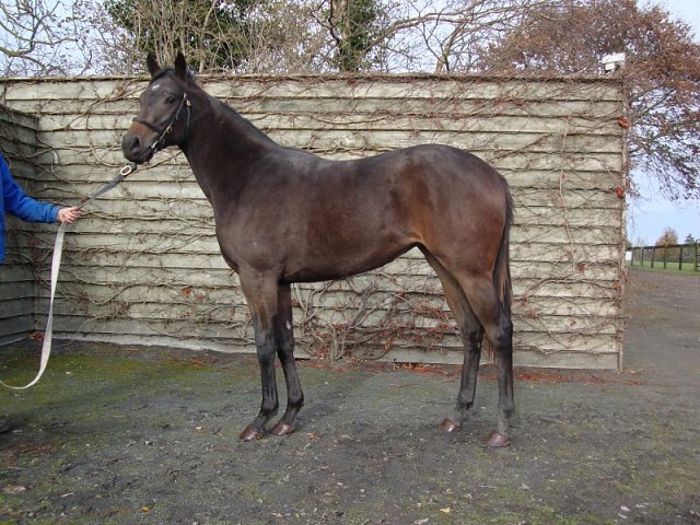 Skitter Scatter wins Group 1 Moyglare Stud Stakes on 16th September 2018