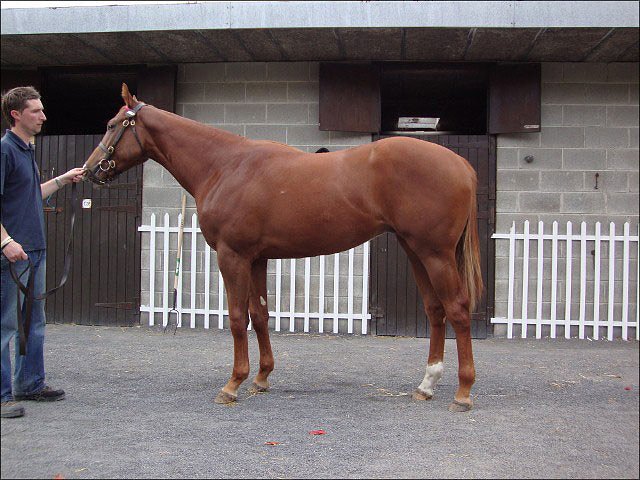 Smartcity second at Sha Tin