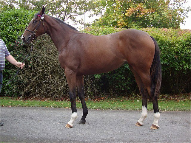 Smolensk third  at Galway