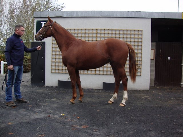 Sophistication wins at Villacidro, Italy