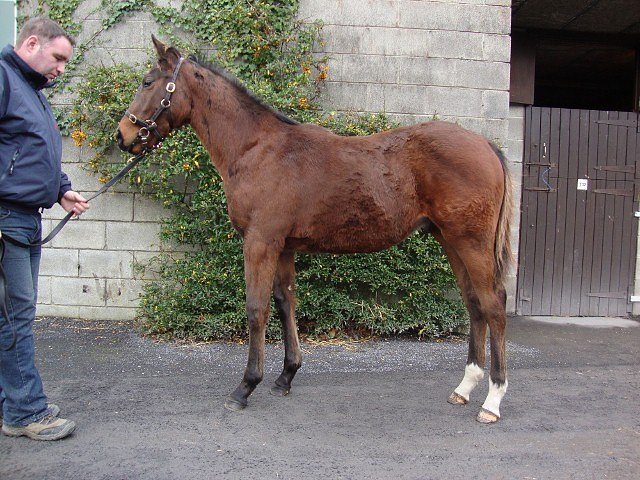 Spark Plug second at Kempton