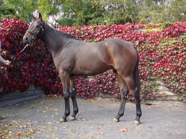 Special Relation wins at Pontefract