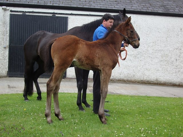 Special Relation wins at Pontefract