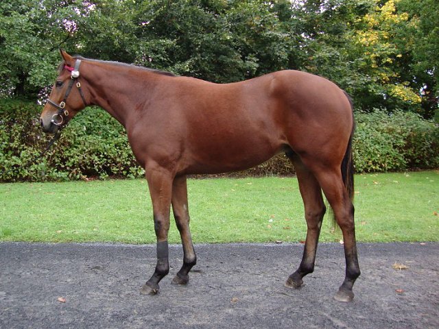Spin Point wins at Gowran Park