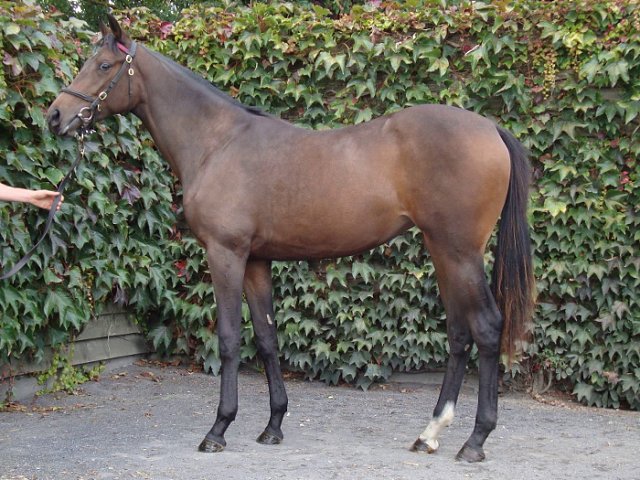 St Clerans wins at Ballinrobe on 19th July 2021
