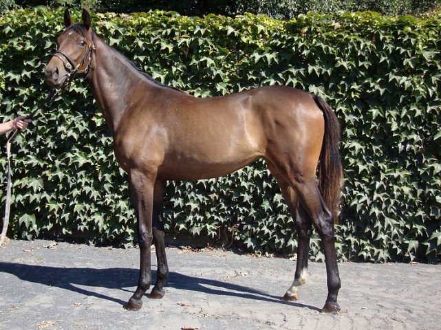 St Clerans wins at Ballinrobe on 19th July 2021