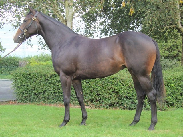 Suffrajet second on racecourse debut at Doncaster on 22nd October 2021