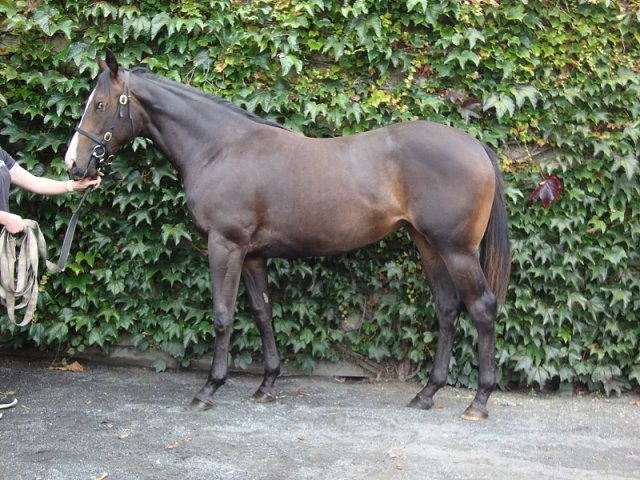 Suffrajet second on racecourse debut at Doncaster on 22nd October 2021