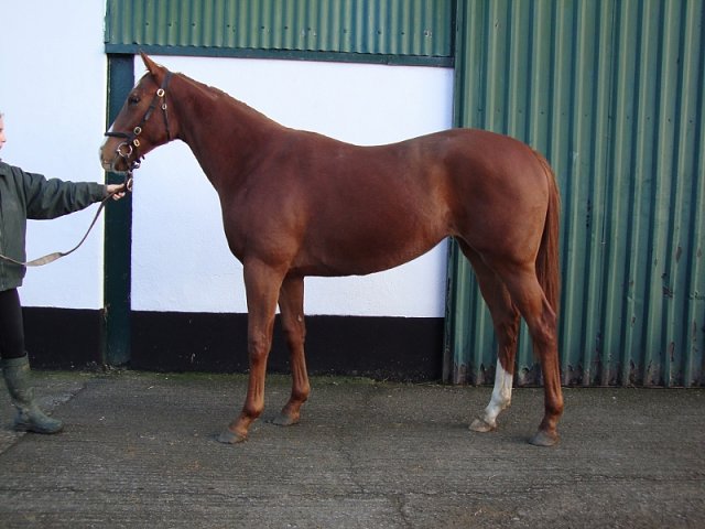 Sunray wins at Longchamp on 7th July 2022