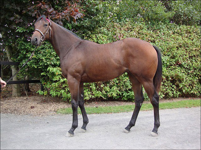 Super third at Newbury