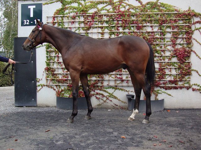 Thermoscope wins at Newcastle on 21st October 2022