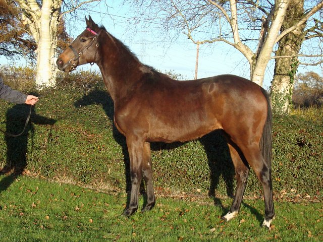 Tintarella Di Luna wins in Denmark on 18th July 2026