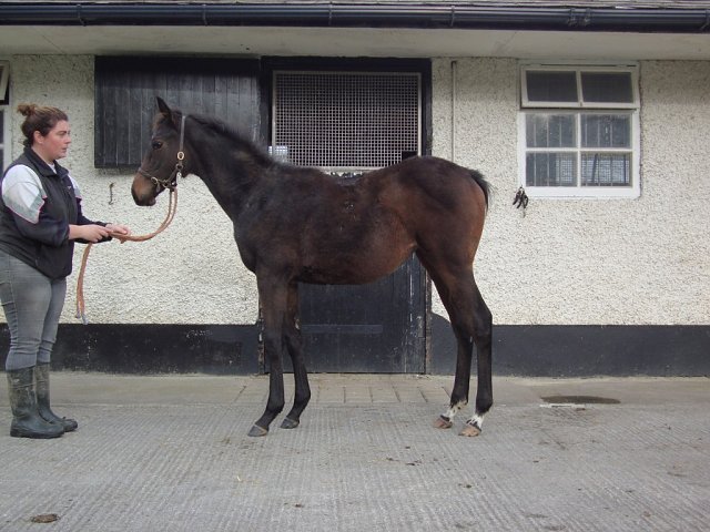 Tintarella Di Luna wins in Denmark on 18th July 2026