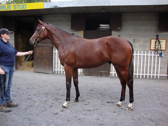 Topsy Turvy wins at Al Rayyan