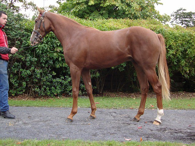 Tornado Watch second at Leopardstown on 12th July 2018