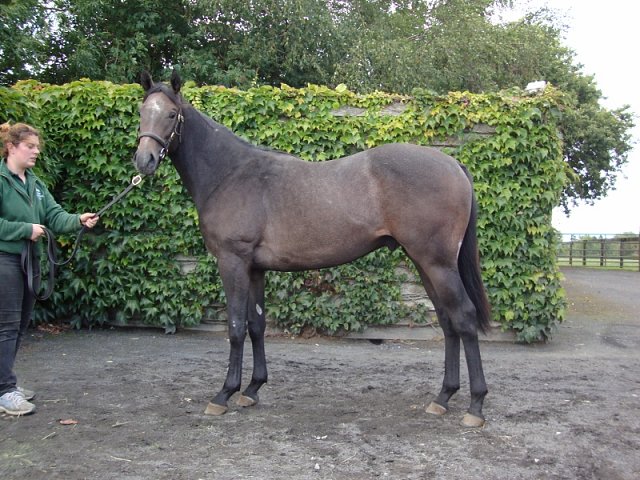 Track Master wins at Siracusa