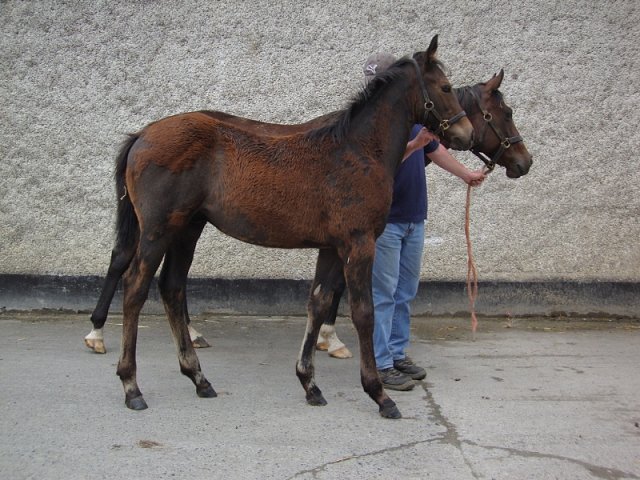 Track Master wins at Siracusa