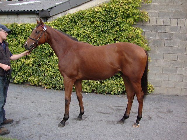 Va Bank third in Group 1 at Munich on 29th July 2018