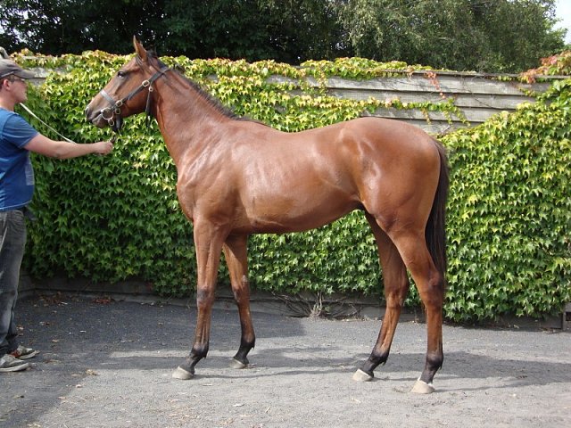 Va Bank third in Group 1 at Munich on 29th July 2018