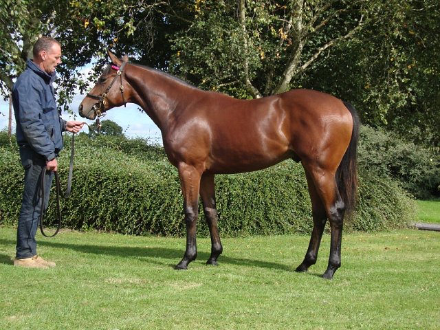 Versatile wins at Bath on 14th May 2025