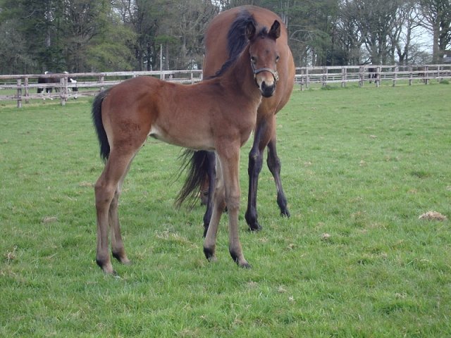 Versatile wins at Bath on 14th May 2025