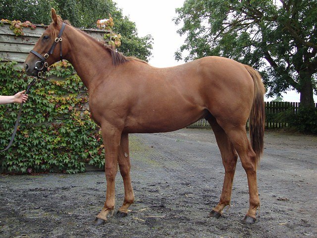 Veya third at Thistledown on 16th July 2018