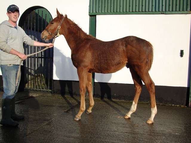 West Drive wins at Sandown