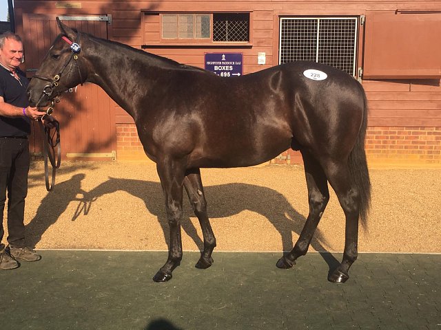 Whitcliffe second at Musselburgh on 24th August 2021