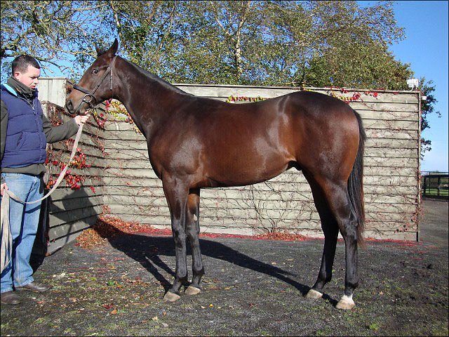 Yava second at the Curragh